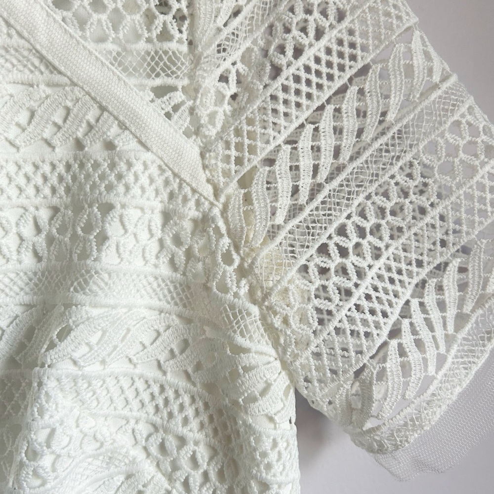 Adrianna Papell Striped Lace Shift Dress, Ivory, Size 2, preowned - Picture 6 of 7